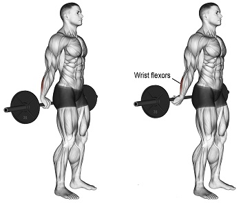 Barbell behind the back wrist curl3