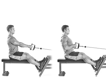 15 seated cable row